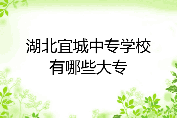 湖北宜城中专学校有哪些大专