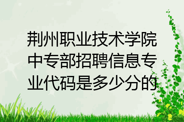 荆州职业技术学院中专部招聘信息专业代码是多少分的