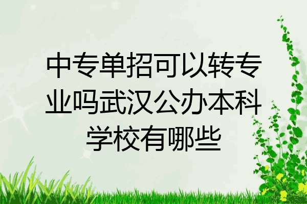 中专单招可以转专业吗武汉公办本科学校有哪些