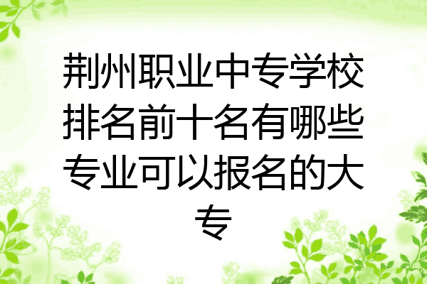 荆州职业中专学校排名前十名有哪些专业可以报名的大专