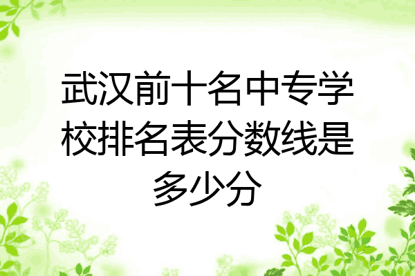武汉前十名中专学校排名表分数线是多少分