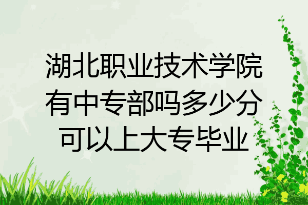 湖北职业技术学院有中专部吗多少分可以上大专毕业