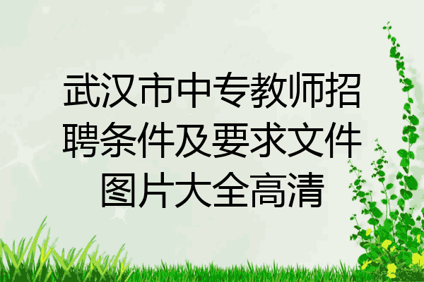武汉市中专教师招聘条件及要求文件图片大全高清