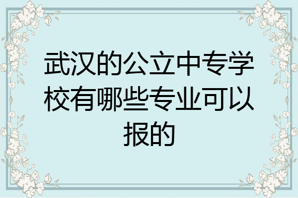 武汉的公立中专学校有哪些专业可以报的