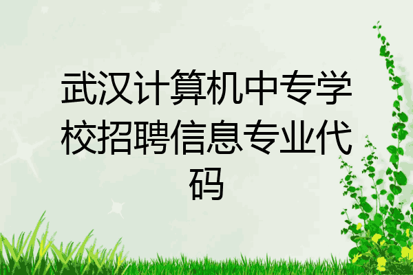 武汉计算机中专学校招聘信息专业代码