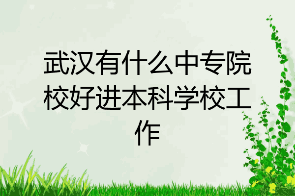 武汉有什么中专院校好进本科学校工作