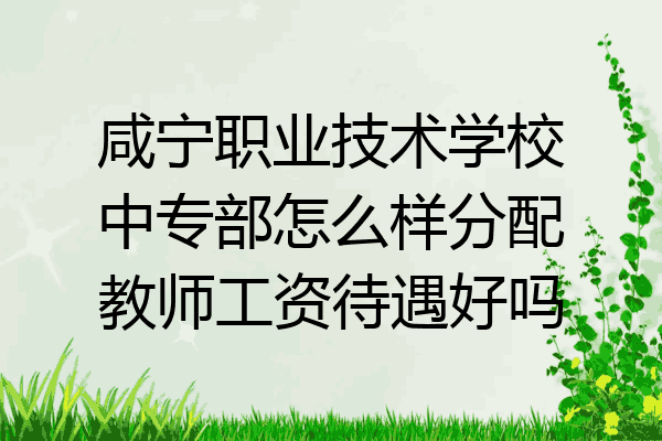 咸宁职业技术学校中专部怎么样分配教师工资待遇好吗