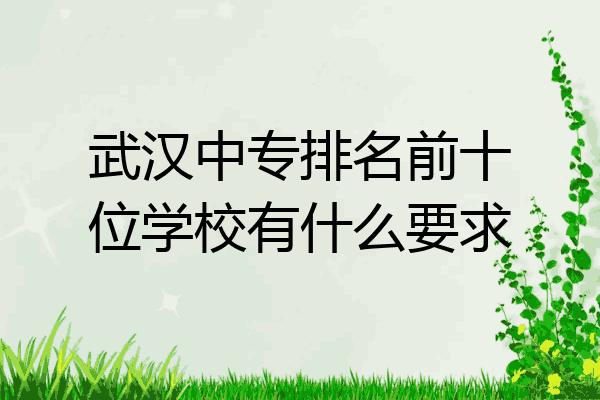 武汉中专排名前十位学校有什么要求