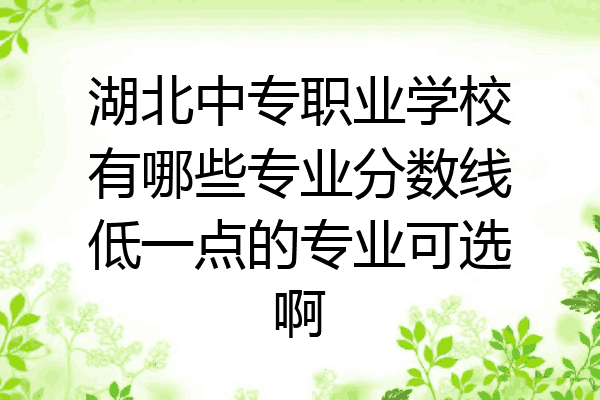 湖北中专职业学校有哪些专业分数线低一点的专业可选啊