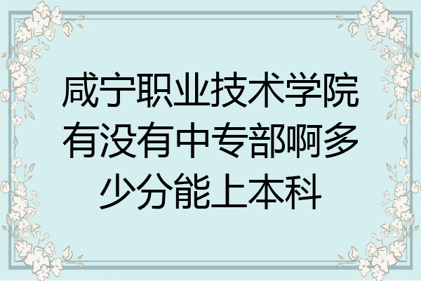 咸宁职业技术学院有没有中专部啊多少分能上本科
