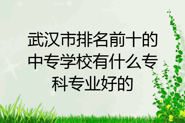 武汉市排名前十的中专学校有什么专科专业好的