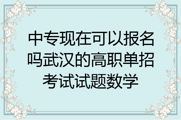 中专现在可以报名吗武汉的高职单招考试试题数学