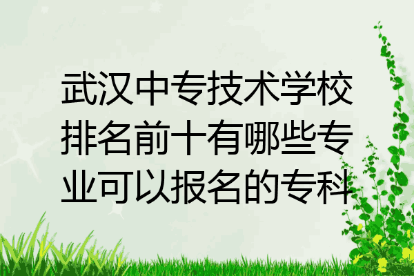 武汉中专技术学校排名前十有哪些专业可以报名的专科