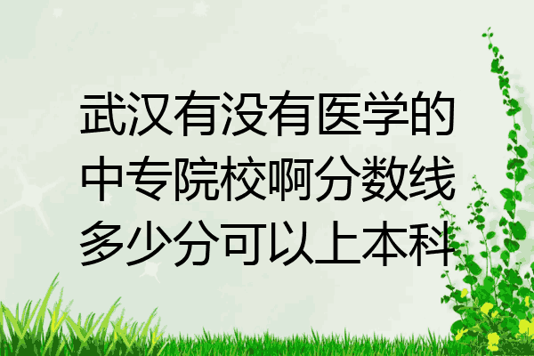 武汉有没有医学的中专院校啊分数线多少分可以上本科