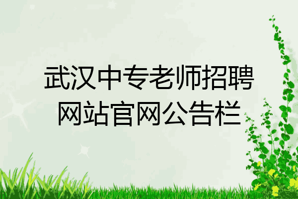 武汉中专老师招聘网站官网公告栏