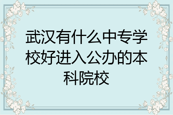 武汉有什么中专学校好进入公办的本科院校
