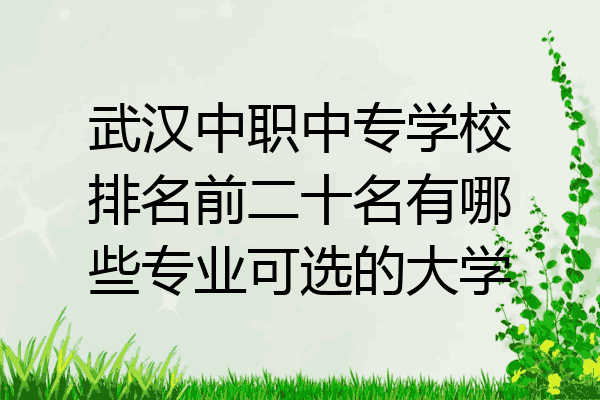 武汉中职中专学校排名前二十名有哪些专业可选的大学