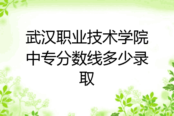武汉职业技术学院中专分数线多少录取