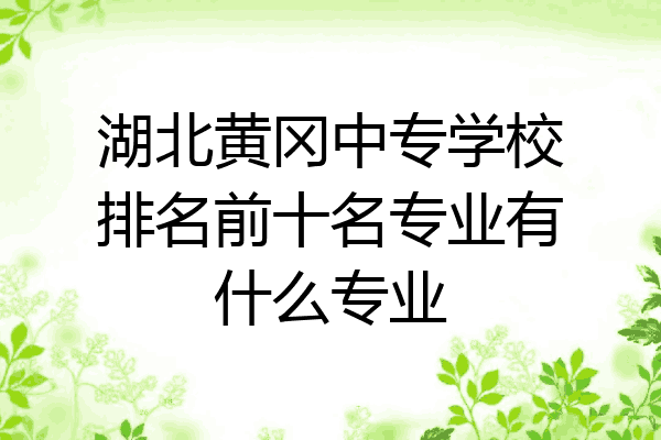 湖北黄冈中专学校排名前十名专业有什么专业