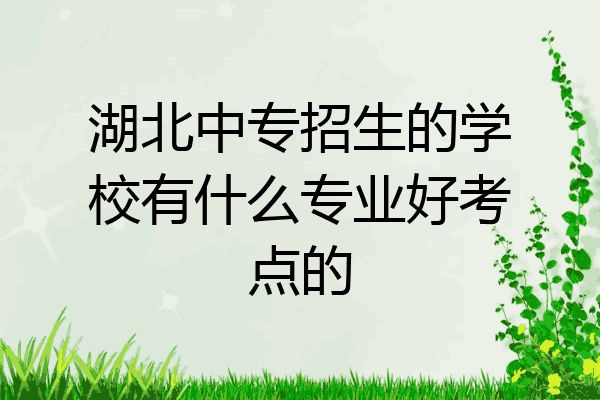 湖北中专招生的学校有什么专业好考点的