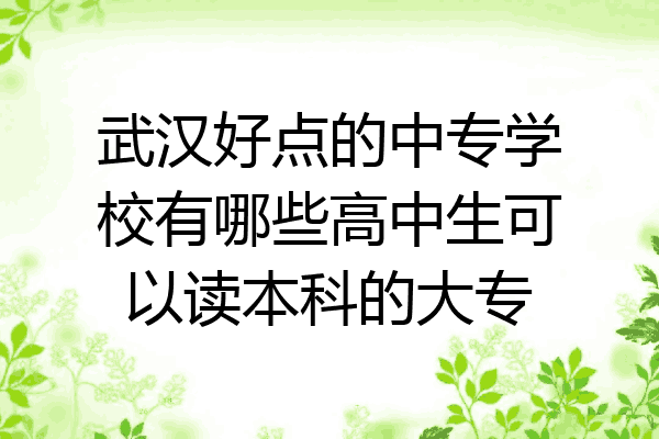 武汉好点的中专学校有哪些高中生可以读本科的大专