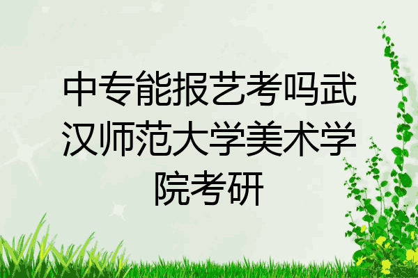 中专能报艺考吗武汉师范大学美术学院考研
