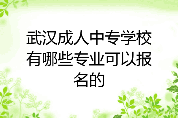 武汉成人中专学校有哪些专业可以报名的