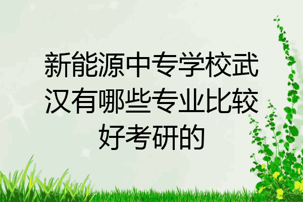 新能源中专学校武汉有哪些专业比较好考研的
