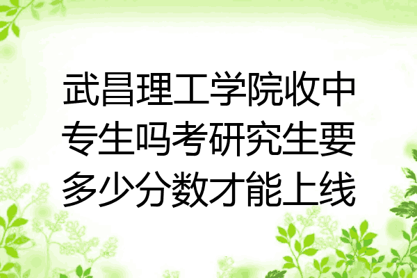 武昌理工学院收中专生吗考研究生要多少分数才能上线