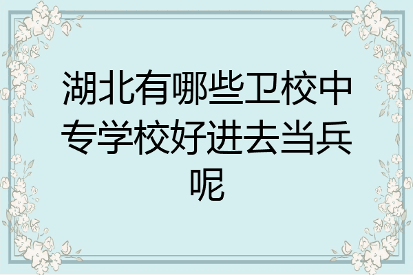 湖北有哪些卫校中专学校好进去当兵呢