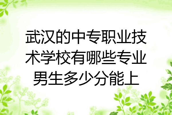 武汉的中专职业技术学校有哪些专业男生多少分能上