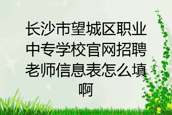 长沙市望城区职业中专学校官网招聘老师信息表怎么填啊