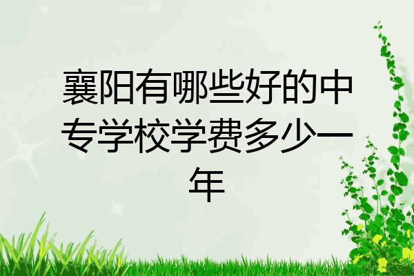 襄阳有哪些好的中专学校学费多少一年