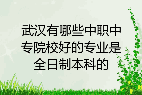 武汉有哪些中职中专院校好的专业是全日制本科的