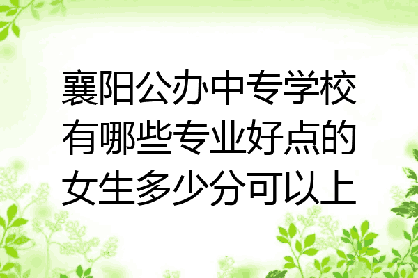 襄阳公办中专学校有哪些专业好点的女生多少分可以上