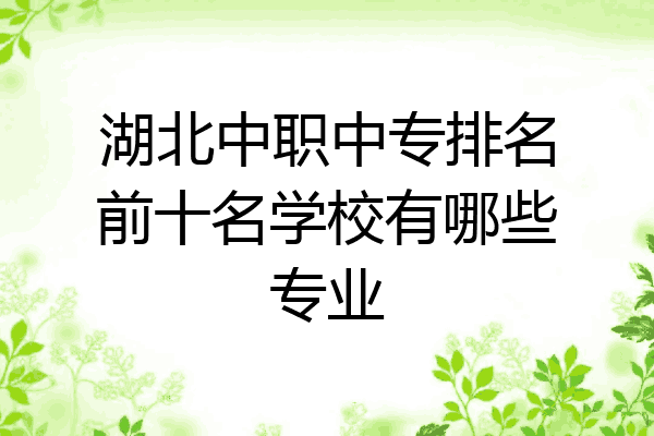 湖北中职中专排名前十名学校有哪些专业