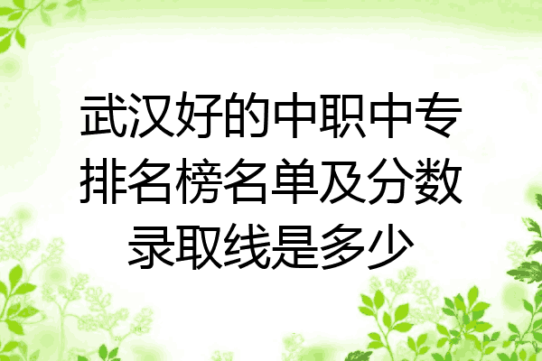武汉好的中职中专排名榜名单及分数录取线是多少