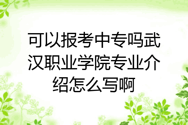 可以报考中专吗武汉职业学院专业介绍怎么写啊