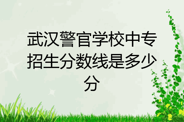 武汉警官学校中专招生分数线是多少分