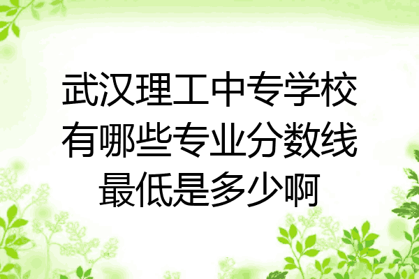 武汉理工中专学校有哪些专业分数线最低是多少啊