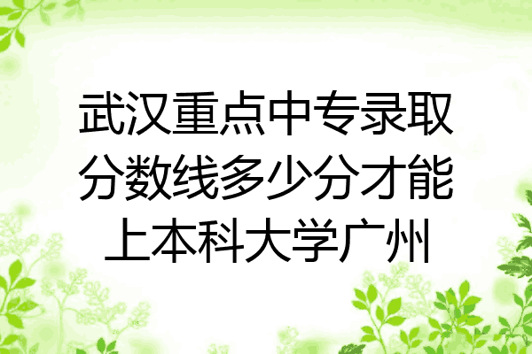 武汉重点中专录取分数线多少分才能上本科大学广州