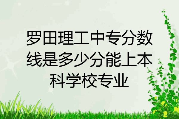 罗田理工中专分数线是多少分能上本科学校专业