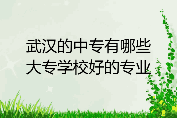武汉的中专有哪些大专学校好的专业