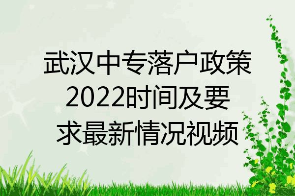 武汉中专落户政策2022时间及要求最新情况视频