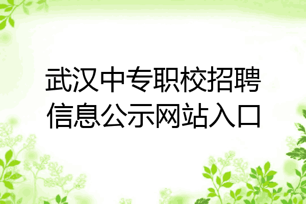 武汉中专职校招聘信息公示网站入口