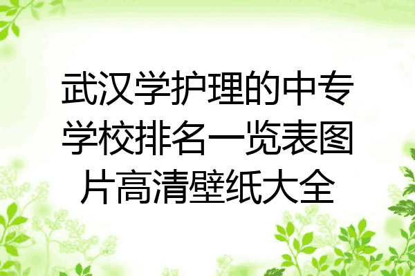 武汉学护理的中专学校排名一览表图片高清壁纸大全