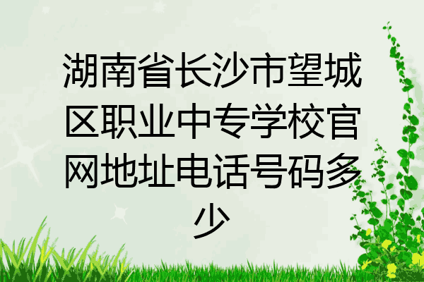 湖南省长沙市望城区职业中专学校官网地址电话号码多少