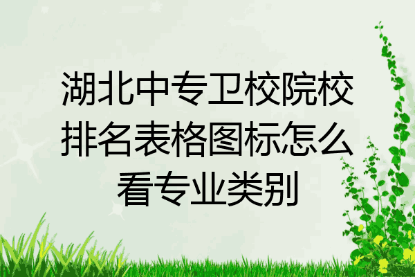 湖北中专卫校院校排名表格图标怎么看专业类别