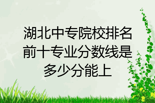湖北中专院校排名前十专业分数线是多少分能上