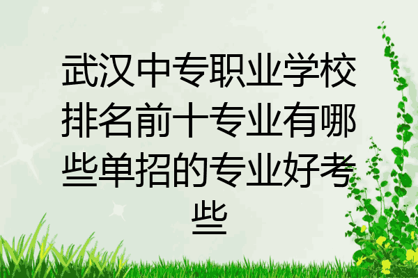 武汉中专职业学校排名前十专业有哪些单招的专业好考些